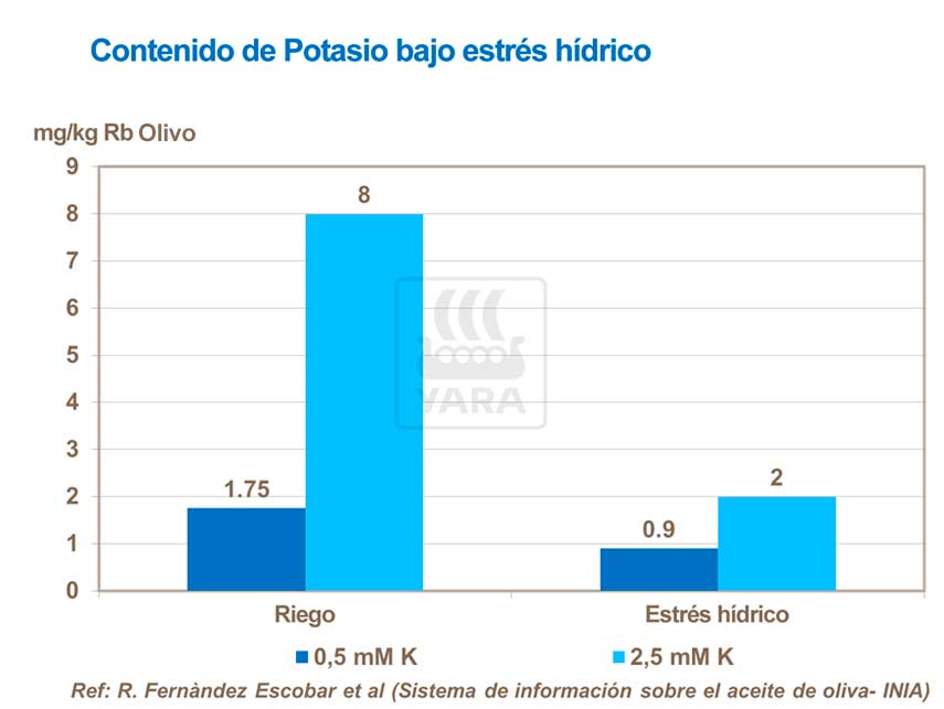 abonos, yara, abono, olivo