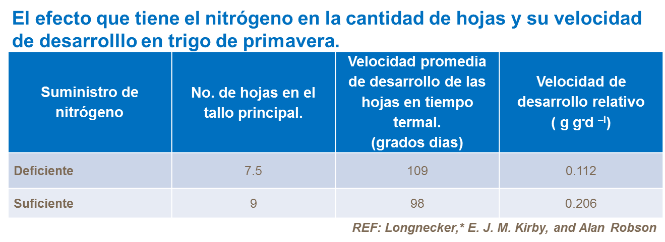 Efecto del nitrógeno en el número de hojas y su velocidad de desarrollo